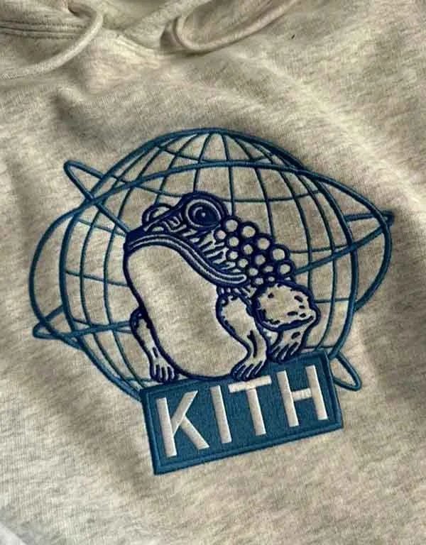 grey-kith-jinro-hoodie.jpg grey kith jinro hoodie
